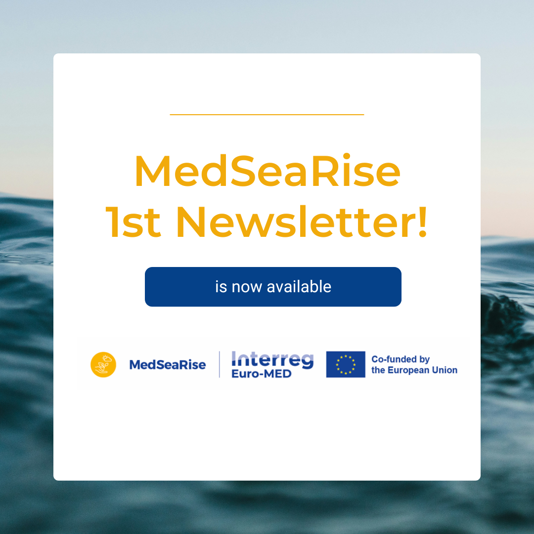 This is the first newsletter of MedSearise project