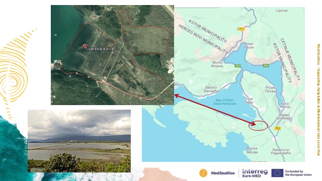 The case study for Tivat Salina