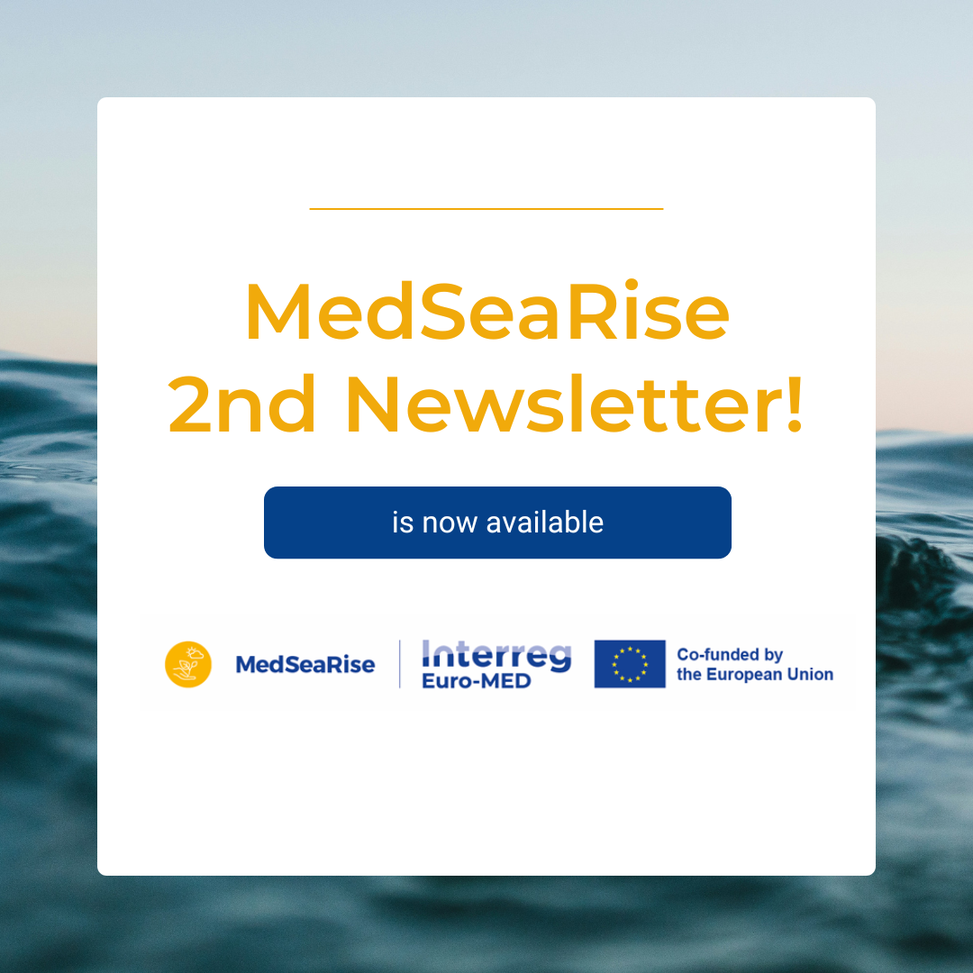 This is the second newslettr of MedSearise project