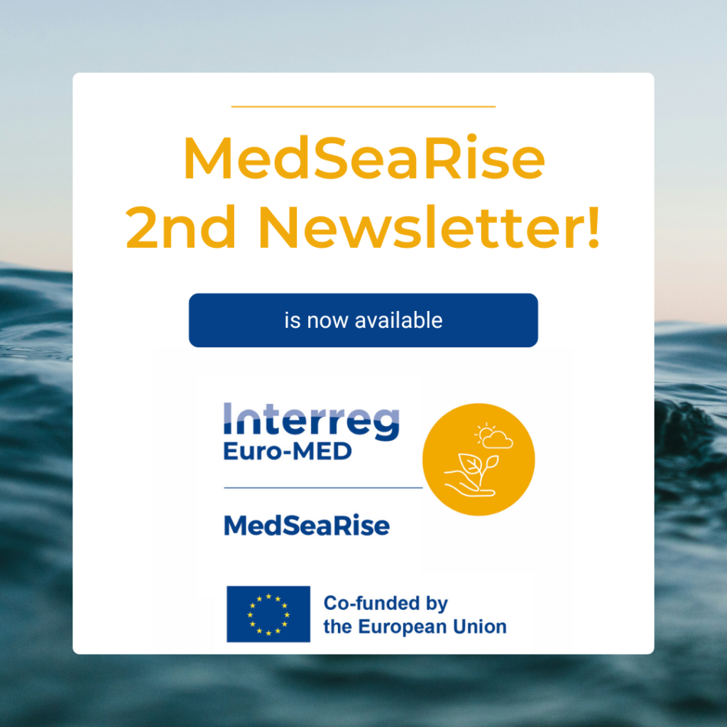 Medsearise second newsletter